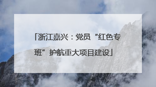 浙江嘉兴：党员“红色专班”护航重大项目建设
