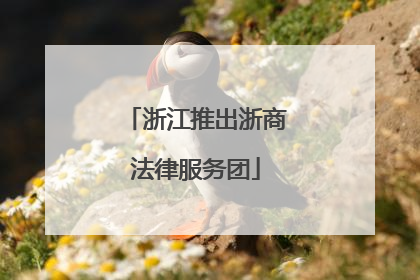 浙江推出浙商法律服务团