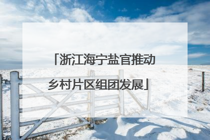 浙江海宁盐官推动乡村片区组团发展