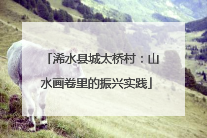 浠水县城太桥村：山水画卷里的振兴实践