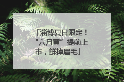 淄博夏日限定！“六月黄”提前上市，鲜掉眉毛