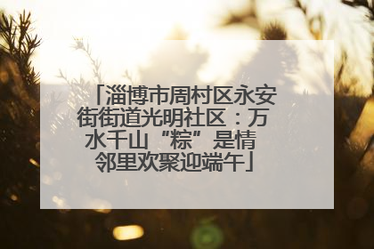 淄博市周村区永安街街道光明社区：万水千山“粽”是情 邻里欢聚迎端午