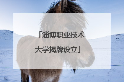 淄博职业技术大学揭牌设立