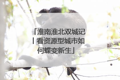 淮南淮北双城记丨看资源型城市如何蝶变新生