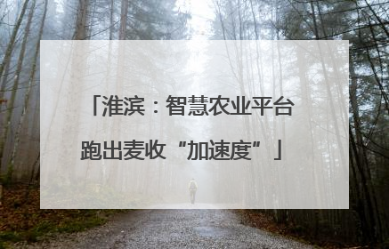 淮滨：智慧农业平台跑出麦收“加速度”