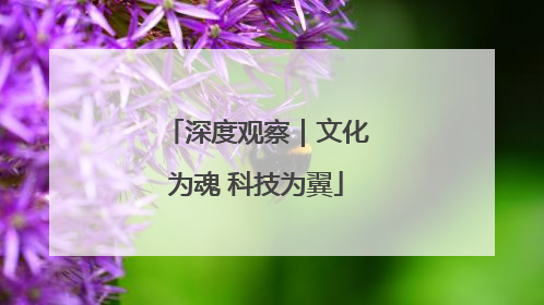 深度观察｜文化为魂 科技为翼