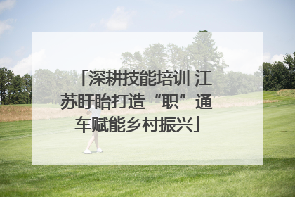 深耕技能培训 江苏盱眙打造“职”通车赋能乡村振兴