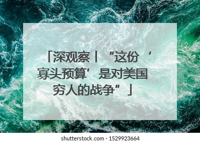 深观察丨“这份‘寡头预算’是对美国穷人的战争”