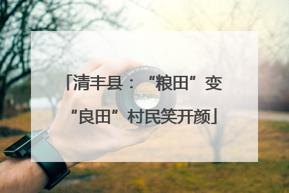 清丰县：“粮田”变“良田”村民笑开颜