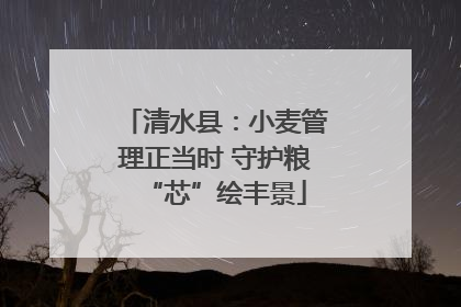 清水县：小麦管理正当时 守护粮“芯”绘丰景