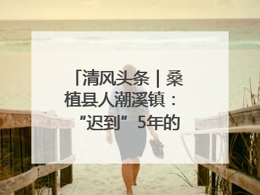 清风头条｜桑植县人潮溪镇：“迟到”5年的生态林补偿金