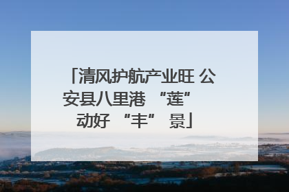 清风护航产业旺 公安县八里港 “莲” 动好 “丰” 景