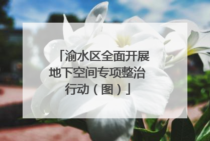 渝水区全面开展地下空间专项整治行动（图）