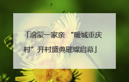 渝蒙一家亲 “暖城重庆村”开村盛典璀璨启幕