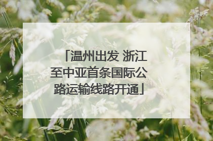 温州出发 浙江至中亚首条国际公路运输线路开通