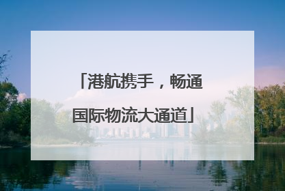 港航携手，畅通国际物流大通道