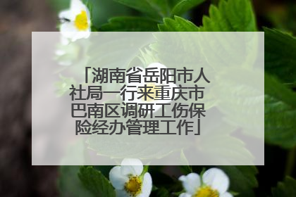 湖南省岳阳市人社局一行来重庆市巴南区调研工伤保险经办管理工作