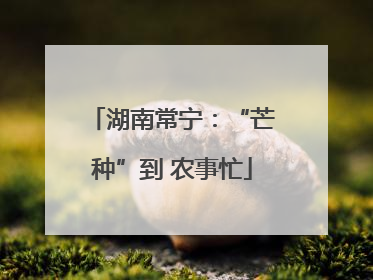 湖南常宁：“芒种”到 农事忙