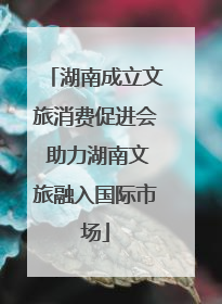 湖南成立文旅消费促进会 助力湖南文旅融入国际市场