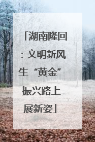 湖南隆回：文明新风生“黄金” 振兴路上展新姿