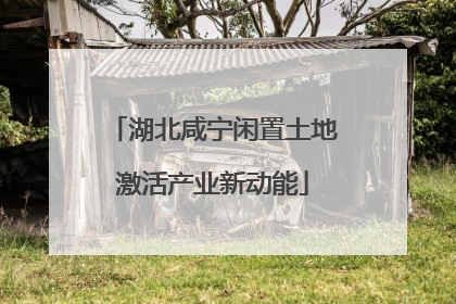 湖北咸宁闲置土地激活产业新动能
