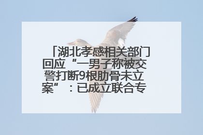 湖北孝感相关部门回应“一男子称被交警打断9根肋骨未立案”：已成立联合专班开展工作