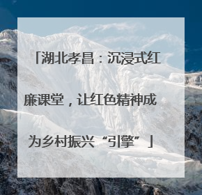 湖北孝昌：沉浸式红廉课堂，让红色精神成为乡村振兴“引擎”