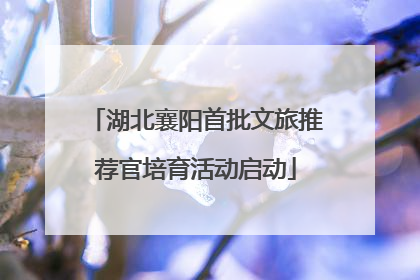 湖北襄阳首批文旅推荐官培育活动启动