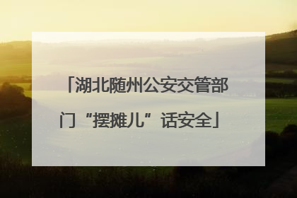 湖北随州公安交管部门“摆摊儿”话安全
