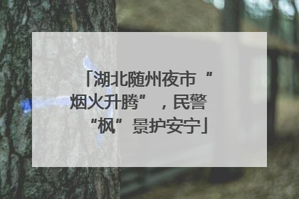 湖北随州夜市“烟火升腾”，民警“枫”景护安宁