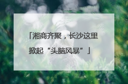 湘商齐聚，长沙这里掀起“头脑风暴”
