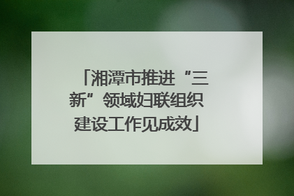 湘潭市推进“三新”领域妇联组织建设工作见成效