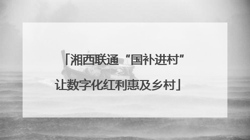 湘西联通“国补进村”让数字化红利惠及乡村