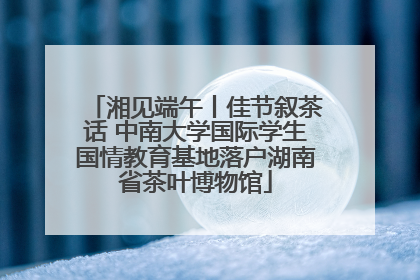 湘见端午丨佳节叙茶话 中南大学国际学生国情教育基地落户湖南省茶叶博物馆