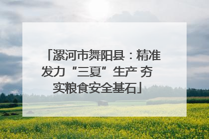 漯河市舞阳县：精准发力“三夏”生产 夯实粮食安全基石