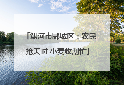 漯河市郾城区：农民抢天时 小麦收割忙
