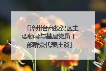 漳州台商投资区主要领导与基层党员干部群众代表座谈