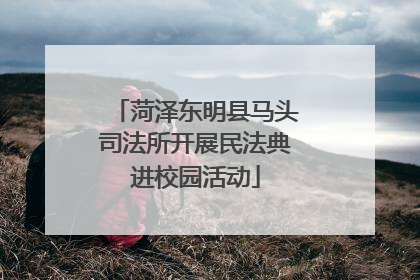 菏泽东明县马头司法所开展民法典进校园活动