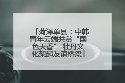 菏泽单县：中韩青年云端共赏“国色天香” 牡丹文化架起友谊桥梁