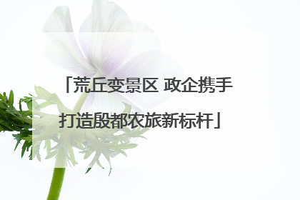 荒丘变景区 政企携手打造殷都农旅新标杆