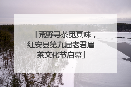 荒野寻茶觅真味，红安县第九届老君眉茶文化节启幕