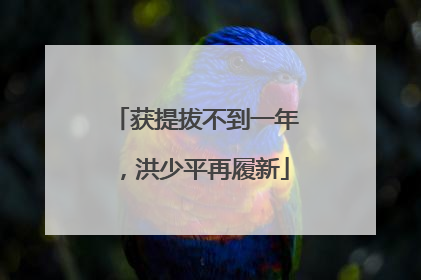 获提拔不到一年，洪少平再履新