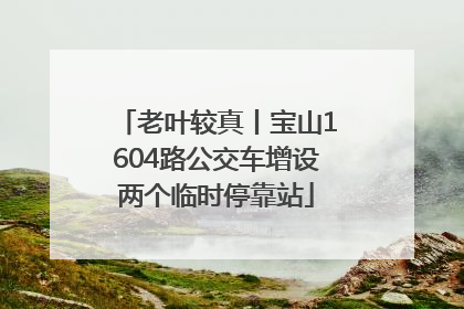 老叶较真丨宝山1604路公交车增设两个临时停靠站