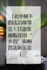老枣树下的法治故事会！甘肃张掖临泽用“乡音”奏响普法新乐章