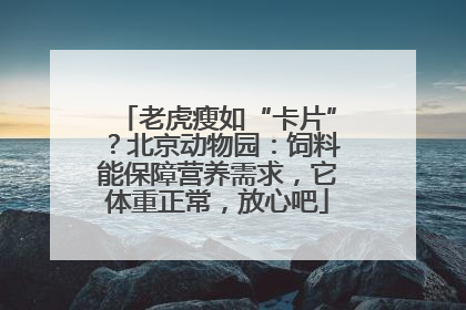 老虎瘦如“卡片”？北京动物园：饲料能保障营养需求，它体重正常，放心吧
