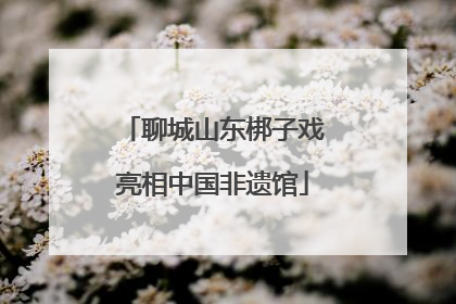聊城山东梆子戏亮相中国非遗馆