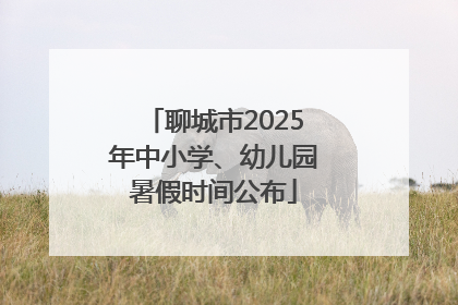 聊城市2025年中小学、幼儿园暑假时间公布