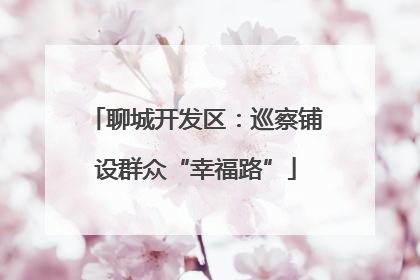 聊城开发区：巡察铺设群众“幸福路”