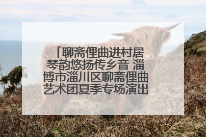 聊斋俚曲进村居 琴韵悠扬传乡音 淄博市淄川区聊斋俚曲艺术团夏季专场演出在杏园子村举行