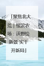 聚焦北大荒｜绥滨农场：沃野绘新景 实干开新局